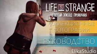 Коллекционные фотографии | Life Is Strange ep.4: Проявочная (руководство)