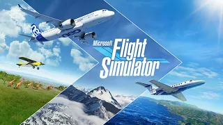 Microsoft Flight Simulator 2020 Live Tokyo Japan to Seoul South Korea