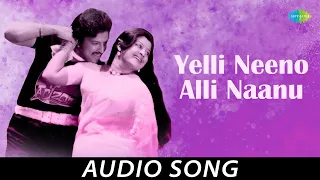 Yelli Neeno Alli Naanu - Audio Song | Rama Parashurama | Vishnuvardhan, Manjula | Rajan - Nagendra