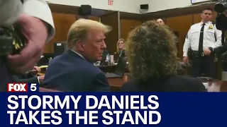 Stormy Daniels takes the stand in Trump trial