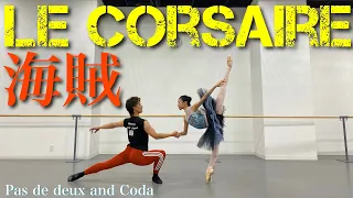 【本気バレエ #4】海賊のパ・ド・ドゥ&コーダ | Le Corsaire Pas de deux and Coda