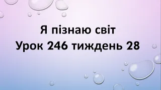 Я пізнаю світ (урок 246 тиждень 28)