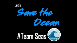 Help MrBeast Save The Ocean #TeamSeas