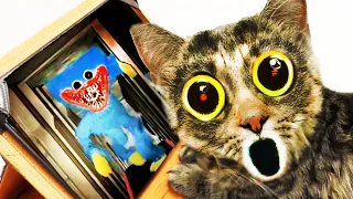 Cat reaction to, Cat and CREWMATES - Huggy Wuggy - Prank on Kittens vs Huggy Wuggy Poppy playtime.