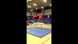 Ohio State Men's Gymnastics Windy City Highlights