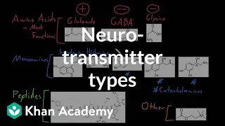 Types of neurotransmitters | Nervous system physiology | NCLEX-RN | Khan Academy