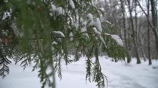 Яку погоду прогнозують на 29 листопада в Хмельницькій області