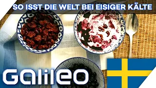 Schwedens Geheimrezept gegen eisige Kälte: Blåbärssoppa! | Galileo | ProSieben