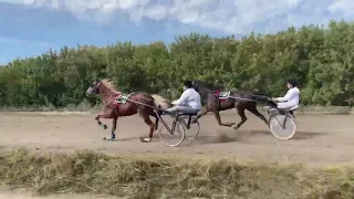 Заезд рысаков 2х лет / 2группа / Петропавловск Ипподром Кулагер