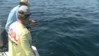 Bonito From A Bayskiff