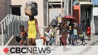 Haiti now effectively run by gangs, says UN ambassador Rae