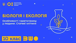 10 клас. Біологія і екологія. Особливості гаметогенезу у людини. Статеві клітини