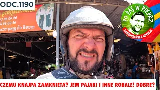 Dlaczego knajpa jest zamknieta? Jem pajaka i inne robale. Dobre? Odc.1190