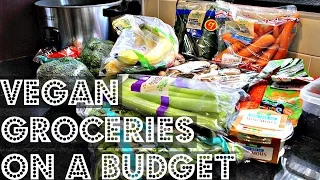 VEGAN GROCERIES ON A BUDGET (including prices!) ♥ Cheap Lazy Vegan