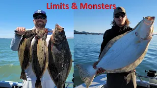 Best Halibut Action of the Season | San Francisco Bay, CA