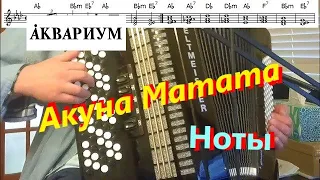 Аквариум - Акуна Матата - на баяне - кавер, разбор, ноты