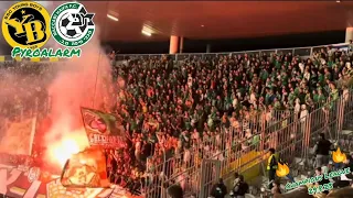 Maccabi Haifa Pyro in Bern vs. Young Boys 29.8.23 #championsleague #pyroalarm  #choreo