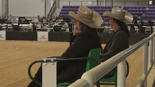 All Star Reining Stakes Open Futurity 72923 Brian Bell on Crystalized Whizkey