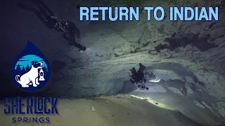 Return to Indian Springs - Perhaps the Most Beautiful Underwater Cave in Florida (February 2022)