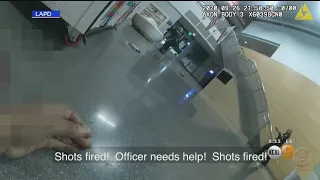 Bodycam Video Shows Suspect's Violent, Unprovoked Attack Inside LAPD Police Station In San Pedro