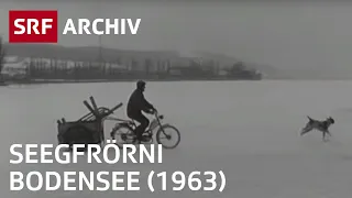 Seegfrörni Bodensee (1963) | Eislaufen auf dem zugefrorenen See | SRF Archiv