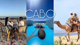 TRAVEL VLOG: ROMANTIC DINNER ON THE BEACH, CAMEL RIDING IN CABO MEXICO, TRYING NEW THINGS, AND MORE