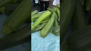 South Anchorage Farmers Market 🥕 Anchorage Alaska