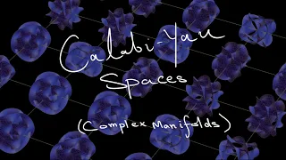 Complex Manifolds | Calabi-Yau Manifold