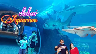 Exploring Dubai Mall Aquarium And Underwater Zoo