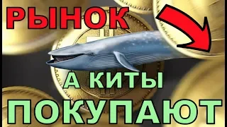 НЕ ВЕДИТЕСЬ на ПАДЕНИЕ БИТКОЙНА и УСРЕДНЯЙТЕСЬ!