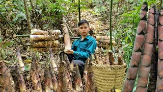 Harvest bamboo shoots to sell at the market - make dried bamboo shoots to eat all year round