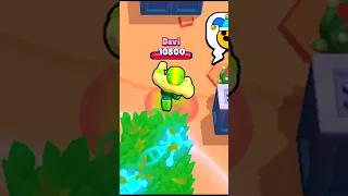 Esse ELPRIMO vai APAGAR o #brawlstars 🤣🤣🤣