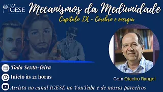 Mecanismos da Mediunidade - Capítulo IX - Cérebro e energia