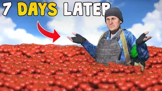 I Built The BIGGEST Tomato Farm In DayZ!