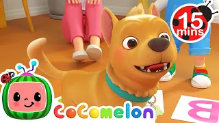 Oh Where did my Little Dog go?  15 MIN LOOP | More Nursery Rhymes & Kids Songs - CoComelon