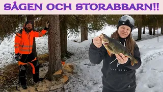 Sågar FAST Motorsågen Men HON får STORFISKEN!