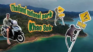 4K: Национальный парк Као Сок- озеро Чео лан. ( Thailand national park Khao Sok).