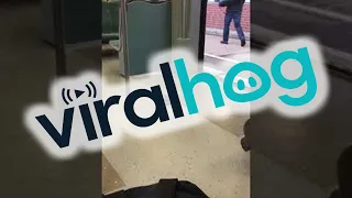 Pigeon Rides the Train || ViralHog