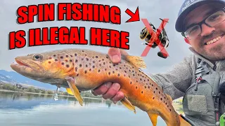 Illegal to Spin Fish Here