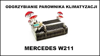 Odgrzybianie klimatyzacji Mercedes W211
