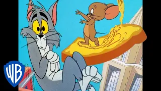 Tom & Jerry em Português | Brasil | Ratinho da cidade grande | WB Kids