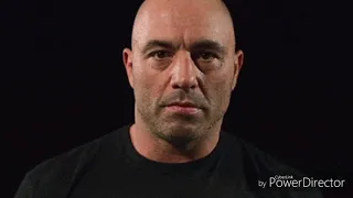 Joe Rogan and George St Pierre on Nick Diaz vs Tyron Woodley Live Wire: We live