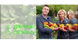 Защищаем сад от мышей. Укрываем не зимостойкие культуры. Готовим тоник для комнатных растений.