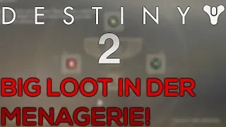 Diese 1 Sache solltet Ihr vor Shadowkeep noch erledigen! 4 Fach Loot in der Menagerie | DESTINY 2