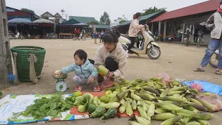 Harvest young corn, squash, and cucumbers go to the central market to sell - Building Farm Life