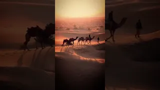 Beautiful Arabian music - Arabian Night, Middle Eastern Instrumental Music