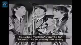 “This Boy” by John Lennon, Paul McCartney - The Beatles version - Cover by The Vocal Chords (sample)