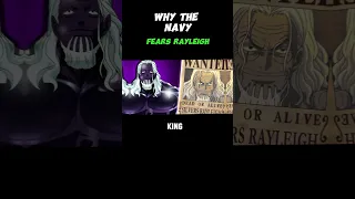 Why the navy doesn’t capture the Dark King | One Piece Theory