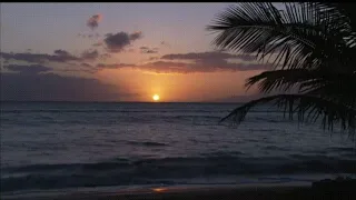 Aloha Vibes | Relaxing Waves | Meditation, Studying, Music |