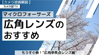 【カメラ技術解説】マイクロフォーサーズ「広角レンズのおすすめ」～もうすぐ春！”広角単焦点レンズ編”～